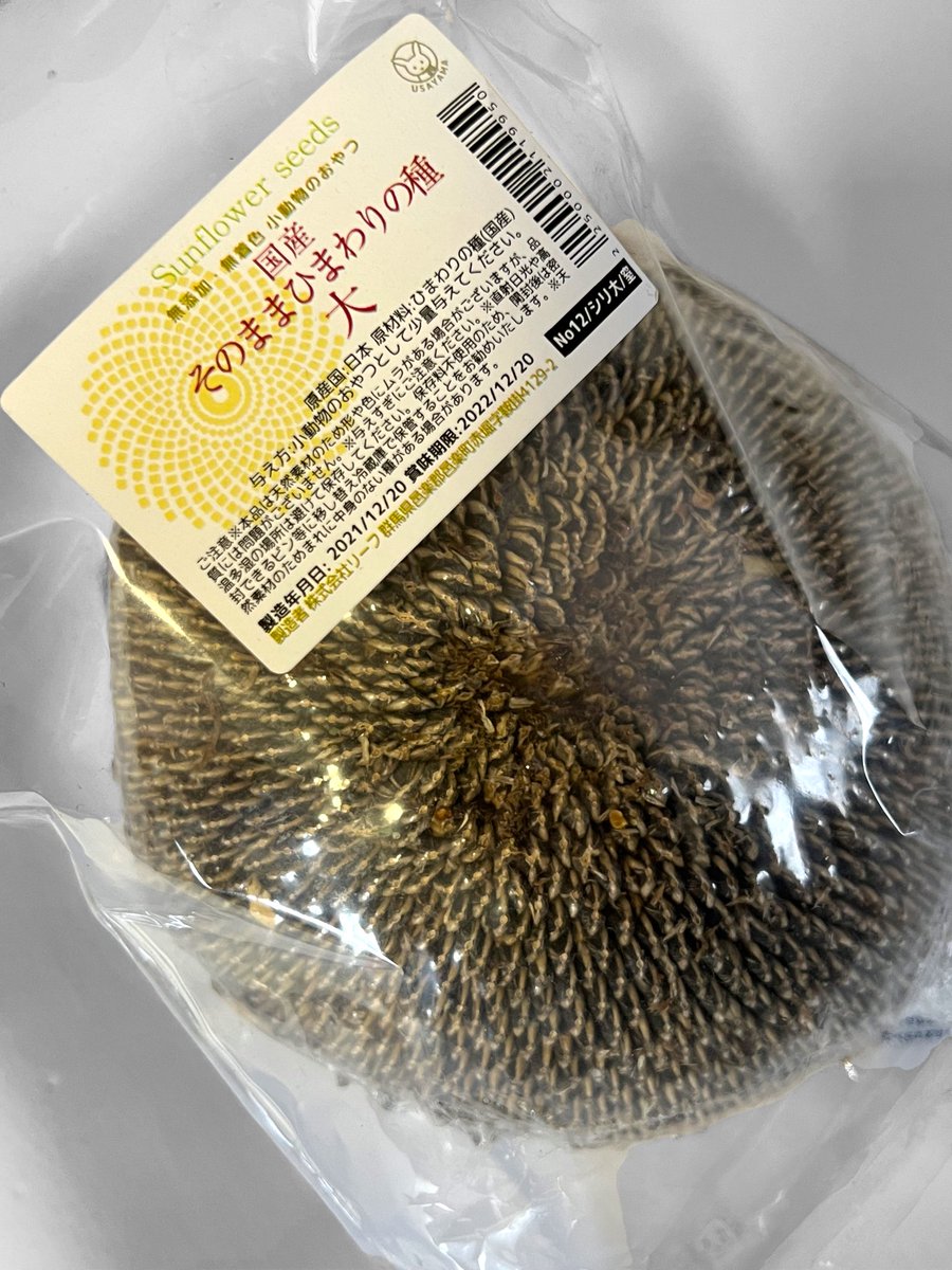 cym_obt's tweet photo. 🐦🌻の種…皆さんはどこから調達されてますか？HSで大袋アメリカ産を見かけたのですが、防虫等の薬品が心配で…最近ネットで🌻丸ごと買ってみました♪ウロコもボタンも…まだまだ手探りな毎日…💦
そして…今日の🐦姉妹…外を眺める三女ウロコ、荒ぶる次女ボタン🤣

#ウロコインコ  #ボタンインコ https://t.co/zQSeMVaN5d
