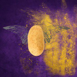 PhantatumNFT's tweet photo. #Phantatum #NFTCollection Batch3 is was released today! #NATIONALPOTATODAY https://t.co/k7El2Nb1gE