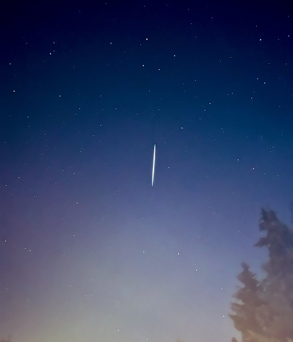 Brian Moote tweet media