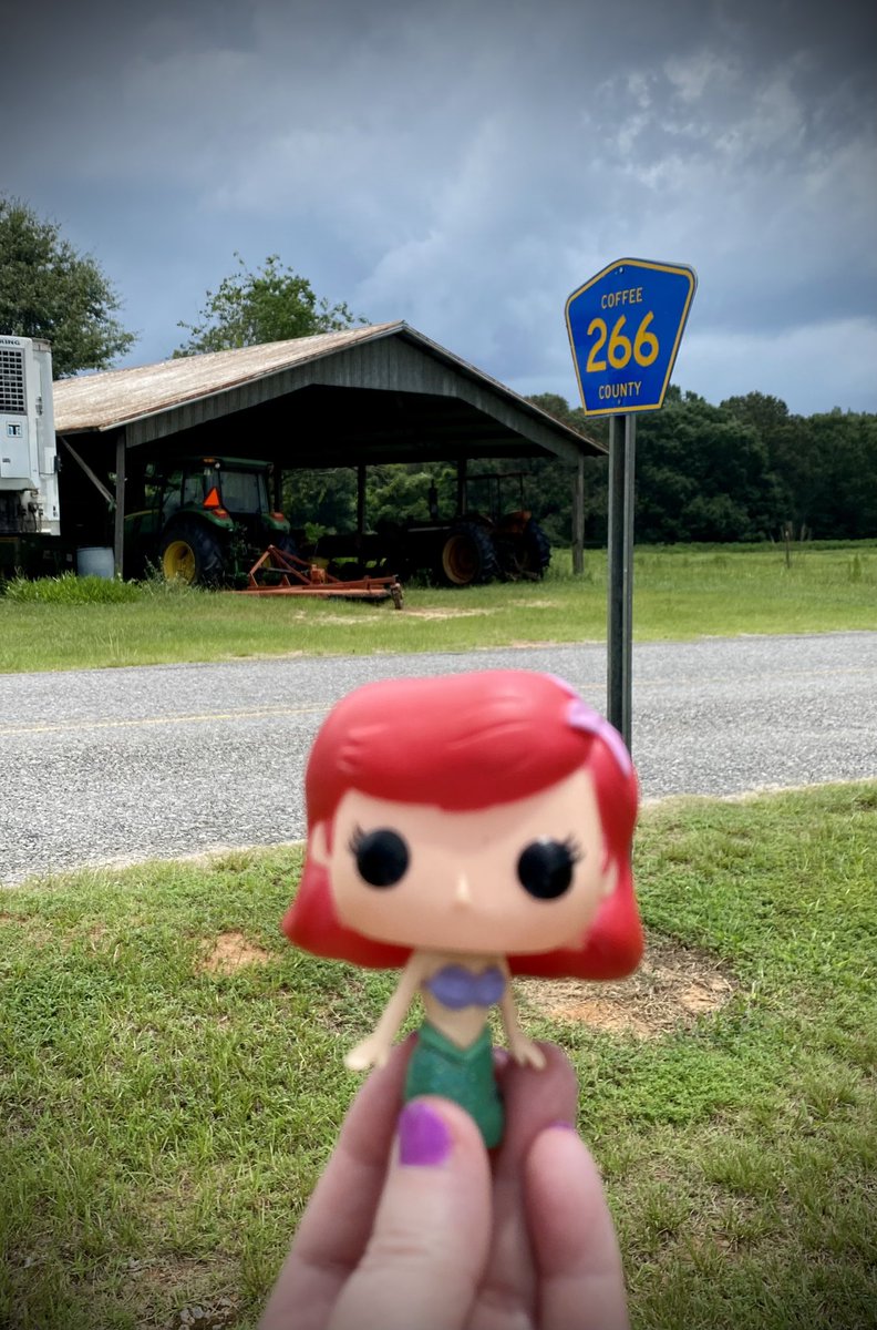 AUKathy2418's tweet photo. @LongboxCrusade @yardsaleartist Sorry Sebastian but
🎶 this fish on the land IS happy🎶
Because she just came back from the sea.
#AgentAriel #AgentsofLBC #longboxcrusade #scavengerhunt https://t.co/7BYcnbeX1S