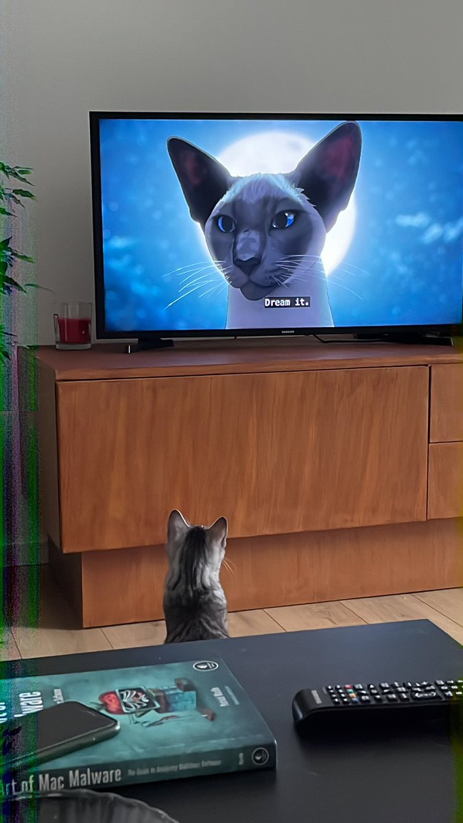 mislavboros's tweet photo. @Netflix_Sandman My cat watched the whole episode. Should I be worried? https://t.co/XeeMVgfUXc