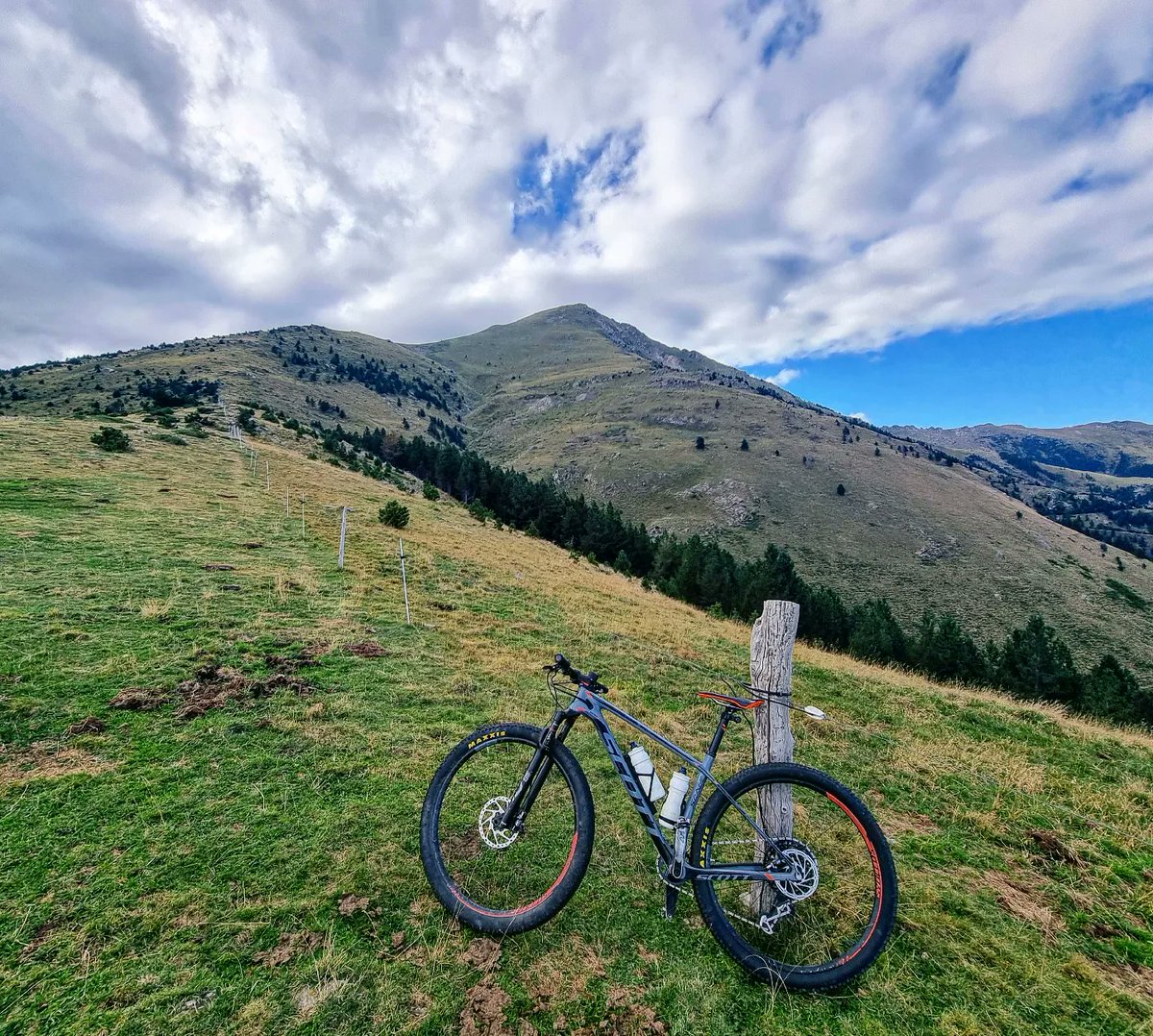 ricardrigall's tweet photo. Cap al Costabona per la Serra de Finestrol. #serradefinestrol #espinavell #molló #ripollès #lapresta #pratsdemolló #vallespir #bicicleta #btt #mtb #estiu2022 https://t.co/vLcFpOySdb