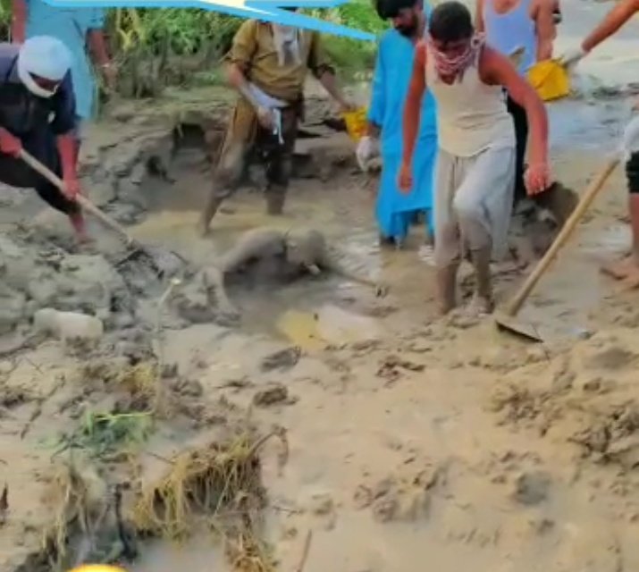 #ڈرامے_باز_فتنے
میں ہر ٹاپ ٹرینڈ میں سرائیکی وسیب کا مقدمہ پیش کر رہا ہوں اگر آپ میں انسانیت ہے تو میرا ساتھ دیں یہ تصویریں ہماری تباہی کی گواہ ہیں۔ تونسہ سے روجہان تک سارا علاقہ تباہی کا شکار ہے۔ حکومت تو شاید کوئی ایکشن نہ لے باقی ملک کے لوگو ہمارا ساتھ دو۔
حامد میر صاحب توجہ