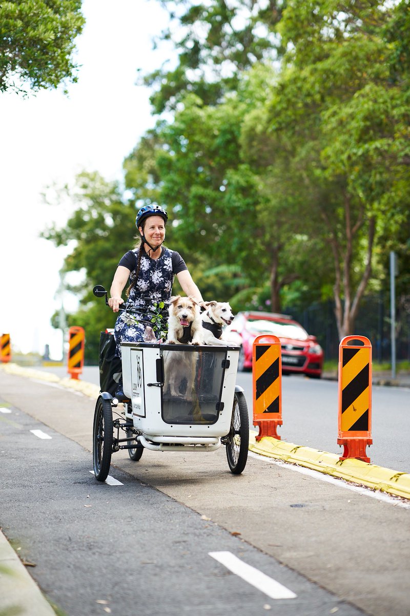 Fiona Campbell tweet media