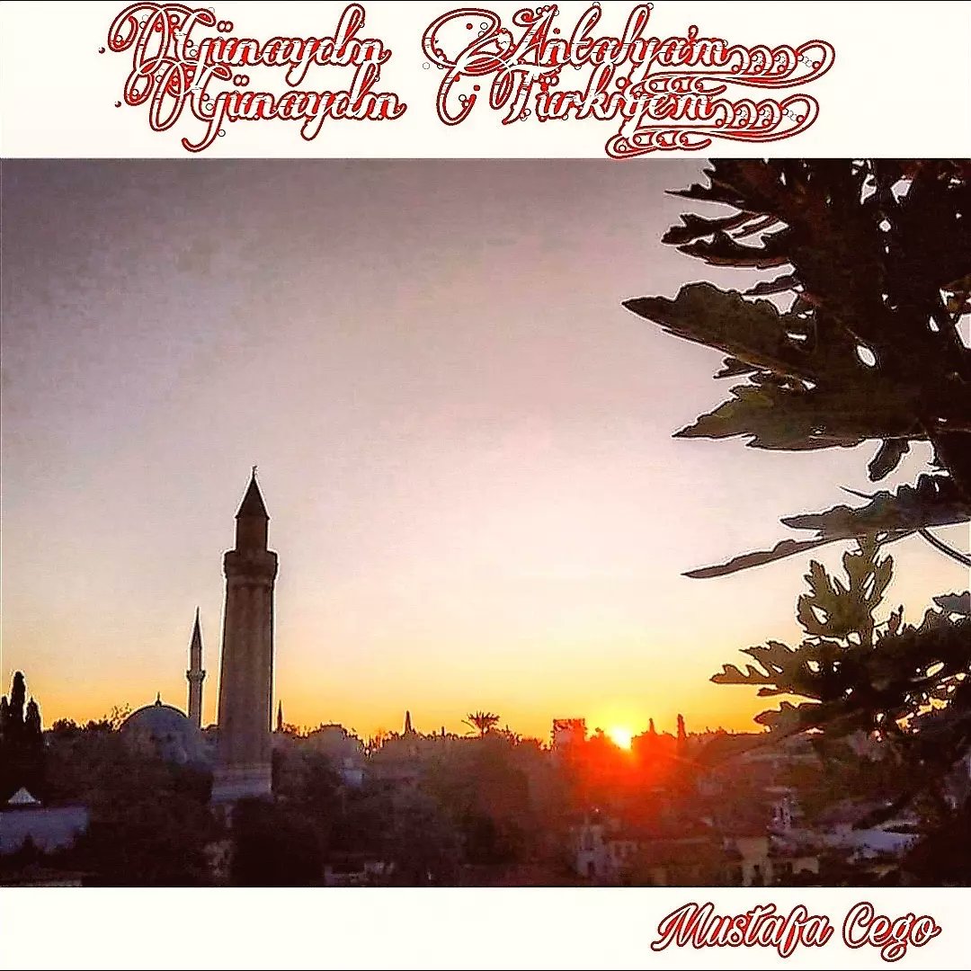 MustafaCego2's tweet image. 