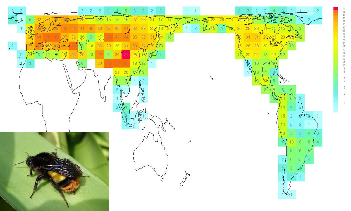 1/5 new paper: BUMBLEBEE BIOGEOGRAPHY (map of species richness) conserves deep historical patterns precisely because bbs are poor at dispersing &amp; establishing over seas/deserts, so species don’t occur everywhere they could - but seas/deserts come &amp; go
bit.ly/3wkl6iz