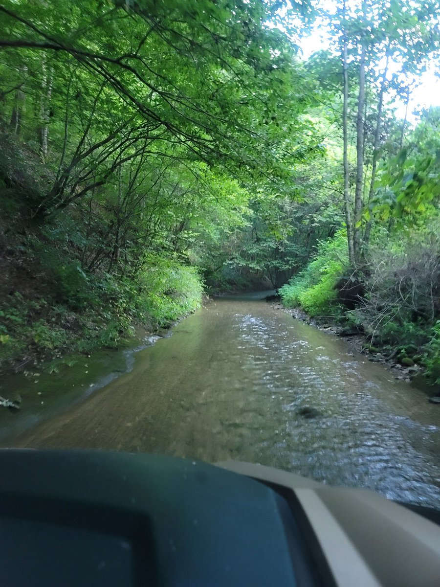 Bluebird 🐦 🍋 🎰 👛 tweet media