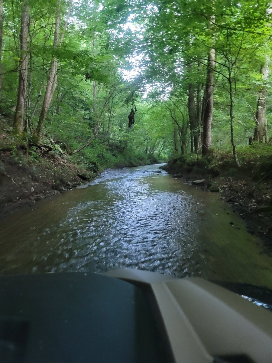 Bluebird 🐦 🍋 🎰 👛 tweet media