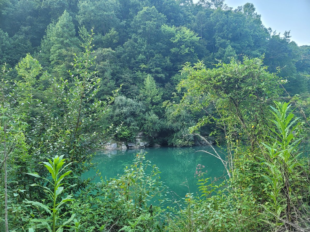 Bluebird 🐦 🍋 🎰 👛 tweet media