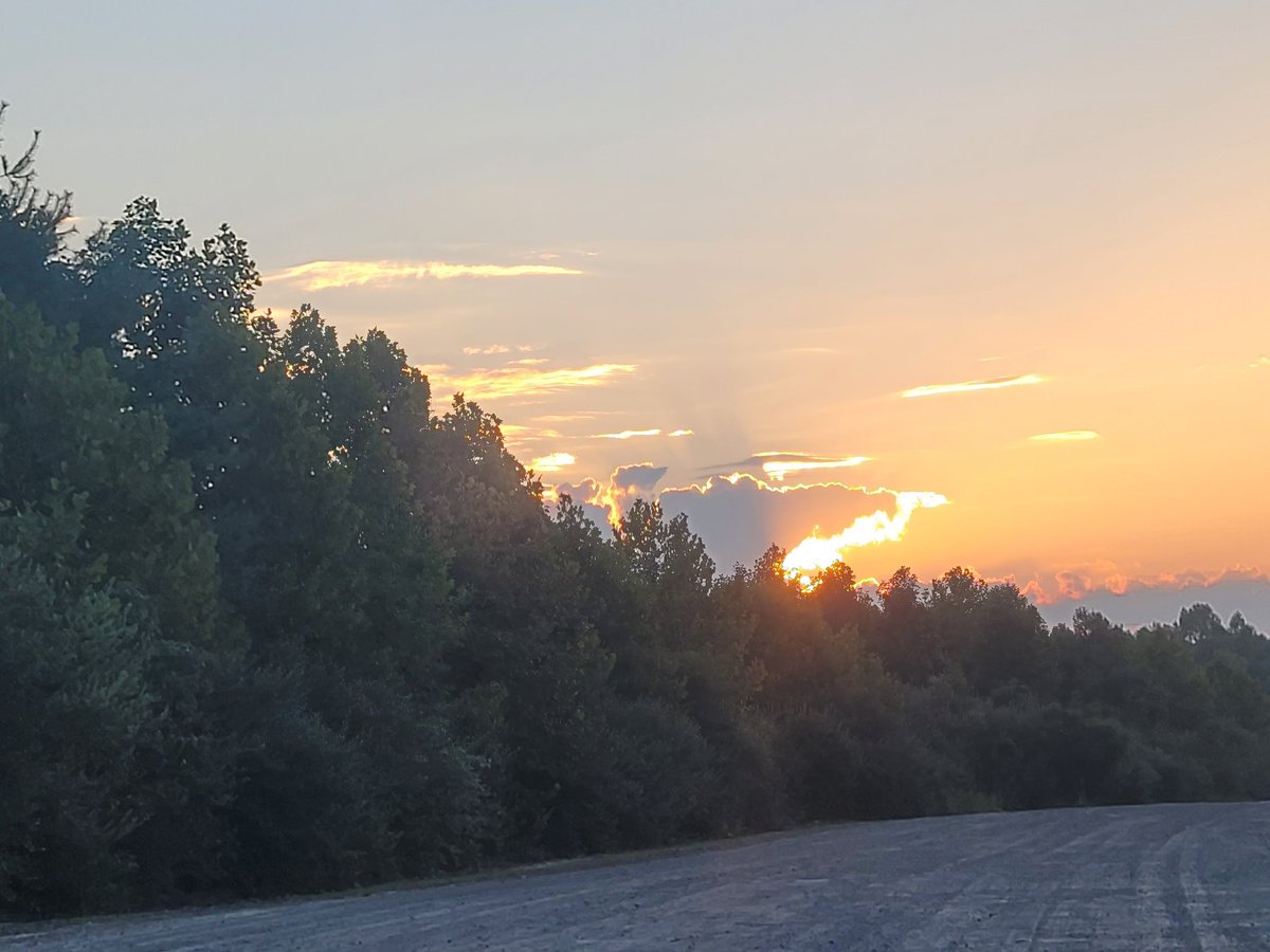 Bluebird 🐦 🍋 🎰 👛 tweet media