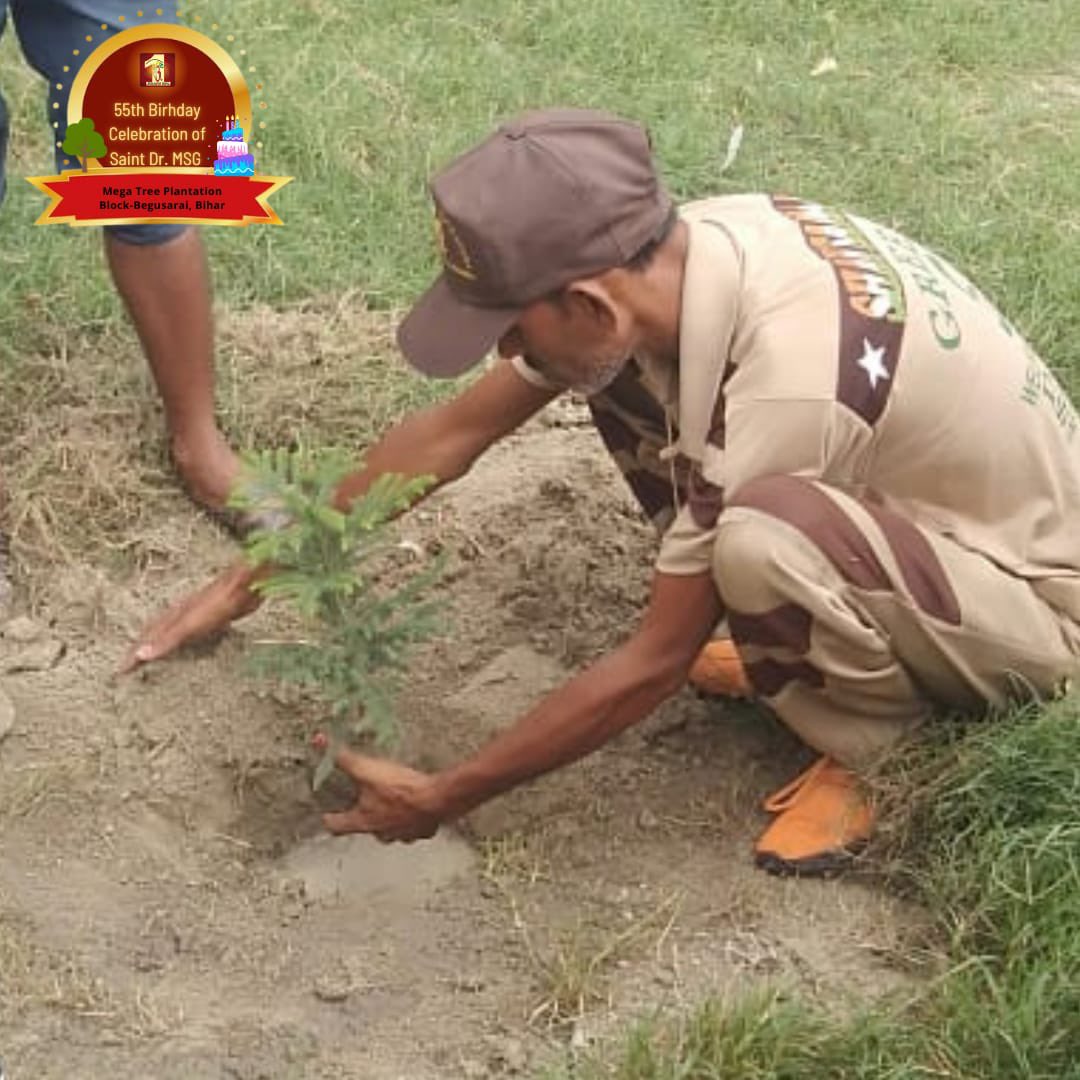 DSSNewsUpdates's tweet photo. On August 14th, volunteers across the globe joined the 55th birthday celebration of Guruji by planting saplings🌱 and contributing to a better future for the planet! Check out the pics from #MegaTreePlantation Drive. https://t.co/vCQdL3tm8v