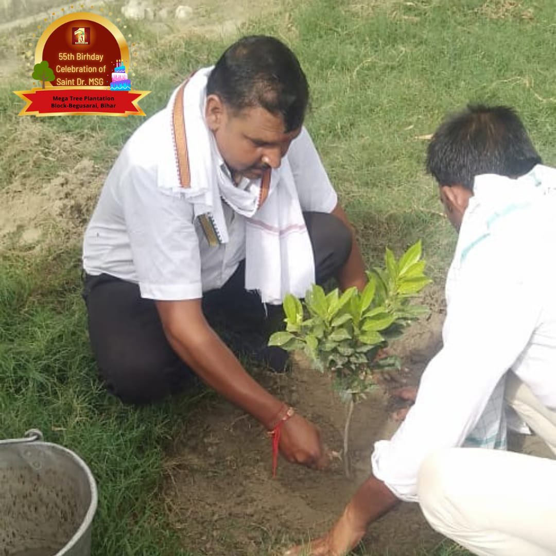 DSSNewsUpdates's tweet photo. On August 14th, volunteers across the globe joined the 55th birthday celebration of Guruji by planting saplings🌱 and contributing to a better future for the planet! Check out the pics from #MegaTreePlantation Drive. https://t.co/vCQdL3tm8v