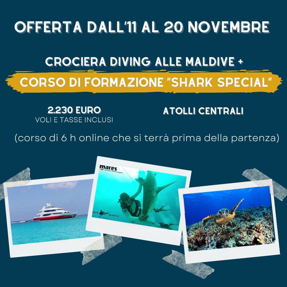 ViaggiSub's tweet photo. Ti piacerebbe imparare le tecniche di immersione e avvicinamento al mondo degli #squali?
Dall'11 al 20 novembre, puoi finalmente portare a casa questa memorabile esperienza grazie ad una crociera #subacquea fra gli atolli centrali delle #Maldive!

 https://t.co/JQRTysTtWu https://t.co/AkT9tEHZNO