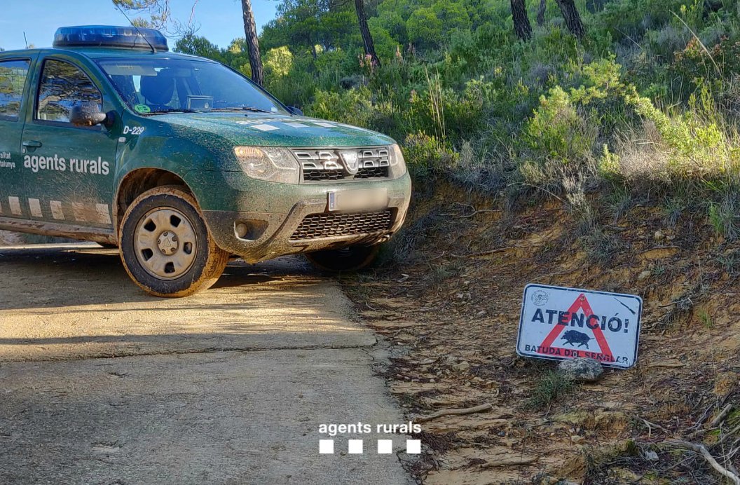 agentsruralscat's tweet photo. ℹ️ Avui comença la mitja veda de #caça a Lleida, al Solsonès i la Cerdanya i diumenge a la resta de Catalunya.

➡️ Caçador/a, recorda:
✔️ Porta tota la documentació
✔️ Mantingues les distàncies de seguretat 
✔️ Recull els cartutxos

Per una #CaçaSegura 👇
https://t.co/MLycUJl9es https://t.co/cXkZMXqNeo