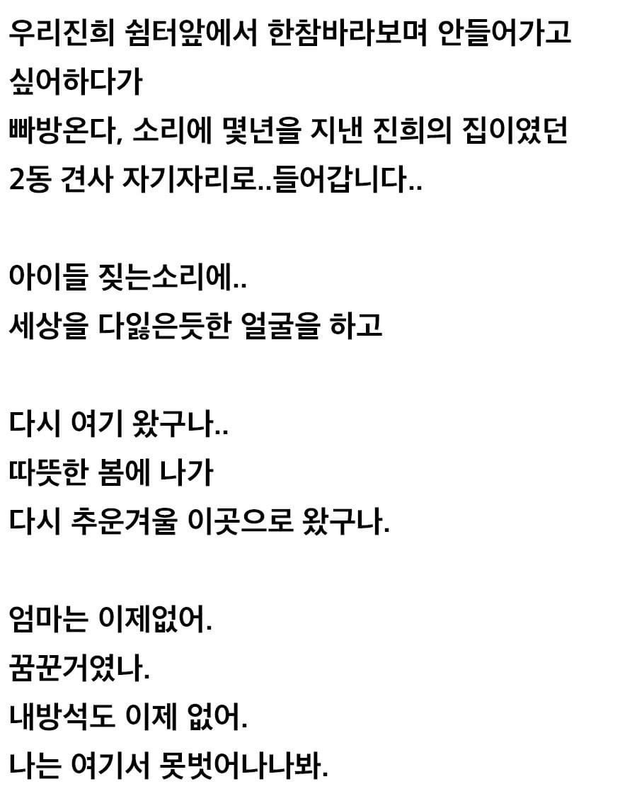 lovx11_very's tweet photo. 파양되어 돌아온 강아지 표정ㅠㅠ
마지막 파양자 인스타 진짜 소름 돋음.....
개열받네 진짜 파양해놓고 저따위 인스타 글 싸지르는거 보니 답대가리없다 하 https://t.co/6UzM06bo3i