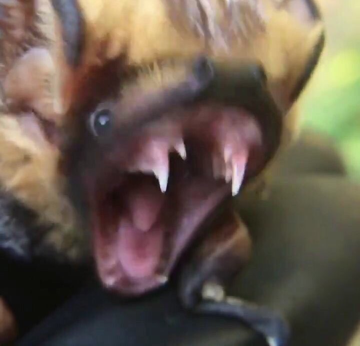 AAAAAAAISBDHDUSHSUDHD 🦇