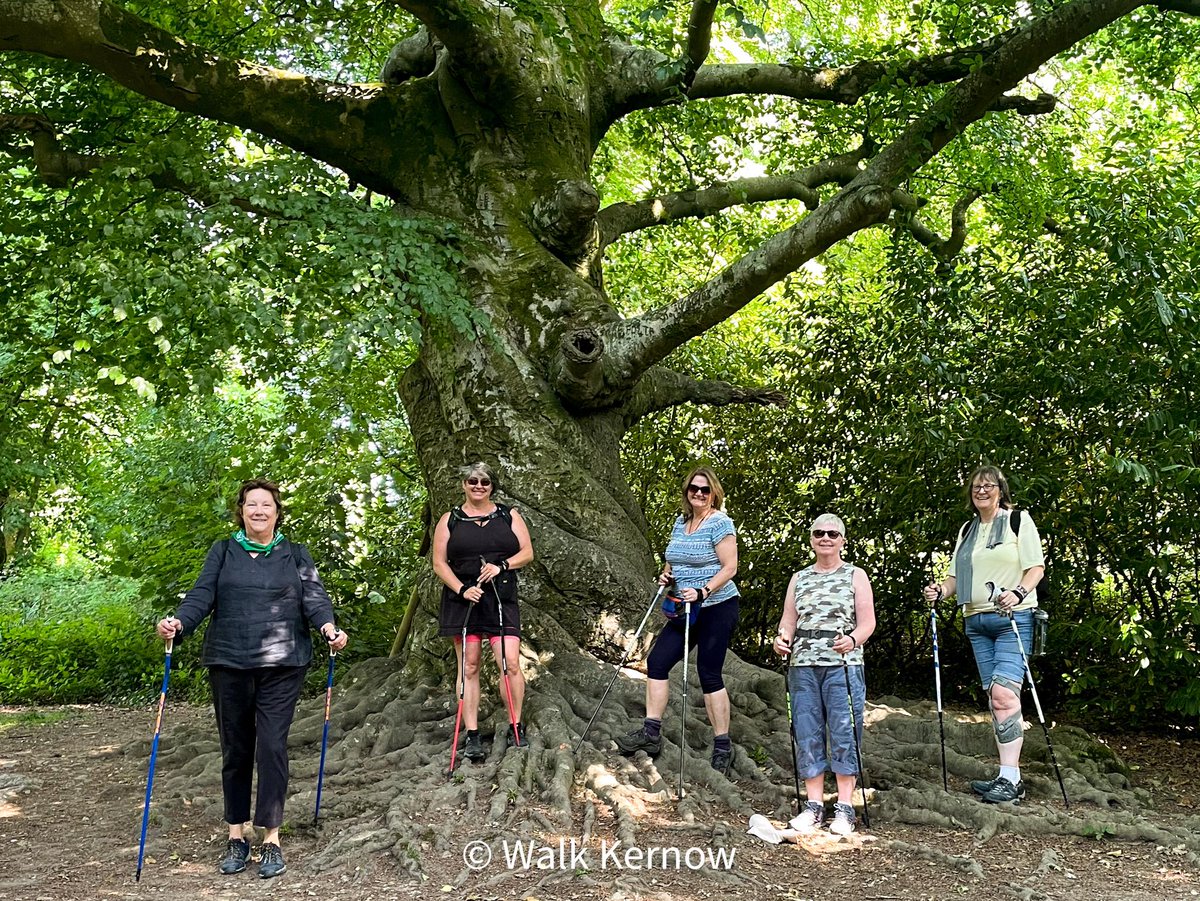 NatureBathing tweet media
