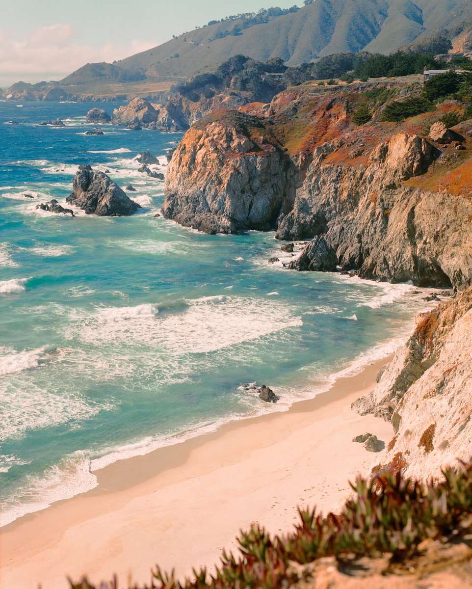 takeuchifilm's tweet image. GM, photography lovers!