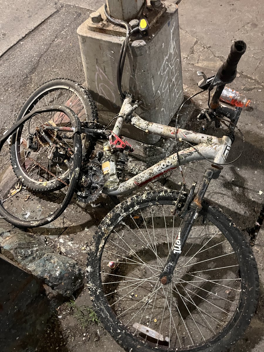Real Dutch Bikes tweet media