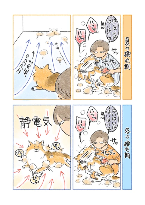 換毛期 夏 / 冬 