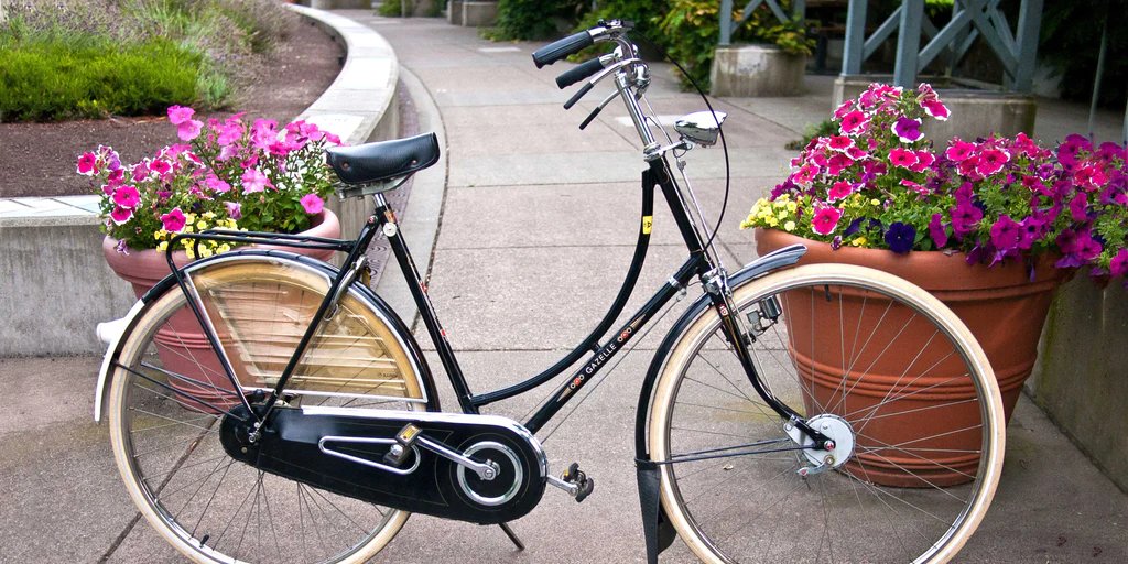 Real Dutch Bikes tweet media