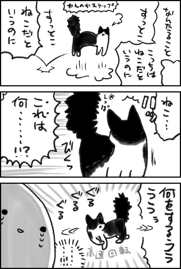 ねこはとてもいそがしい 