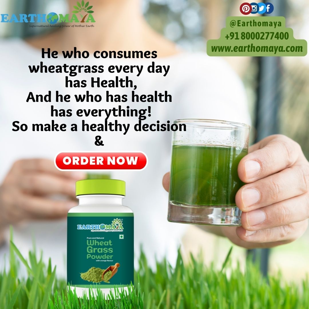 earthomaya's tweet photo. Wheatgrass juice is energizing, immune boosting helps to improve younger-looking skin, aids in recovery from exercise, maintains antioxidant levels, and has numerous other benefits.

#wheatgrasspowder #grass #food #boostsmetabolism #wheatgrassfuller #powderwheatgrass https://t.co/tm2qJLWfxv