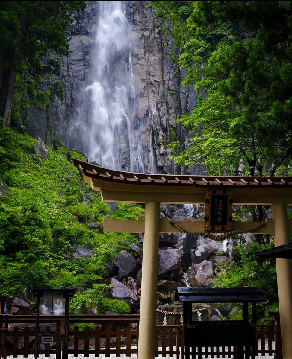 krishnaveechika's tweet photo. Nachi Falls and Sunamoto Castle, Japan #Throwback #Waterfall #water #nature #naturelovers #nachi #japan #temple #Devotional #culture #photography #travel #amazing #beautifuldestinations #Beautiful #lovely #travelphotography #trees https://t.co/yUsXWfk6il