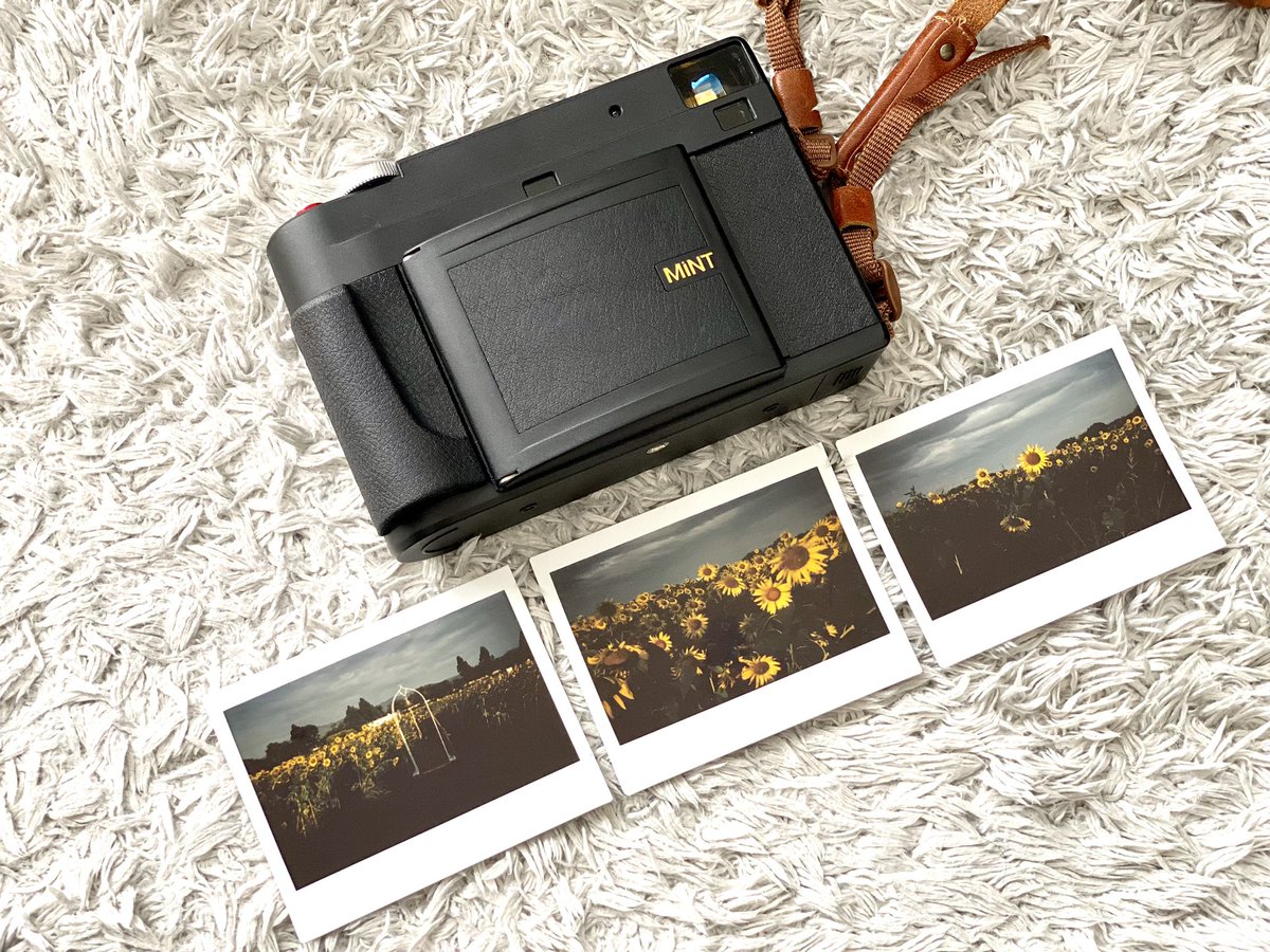 teru8977's tweet image. 📸RF70📸

🌻🌻🌻🌻🌻

@MiNT_camera_JP 
#RF70 #instantkonrf70 
​#mintcamera   #フィルムカメラ　#filmphotography 
#向日葵　#ひまわり　#座間市　#座間のひまわり