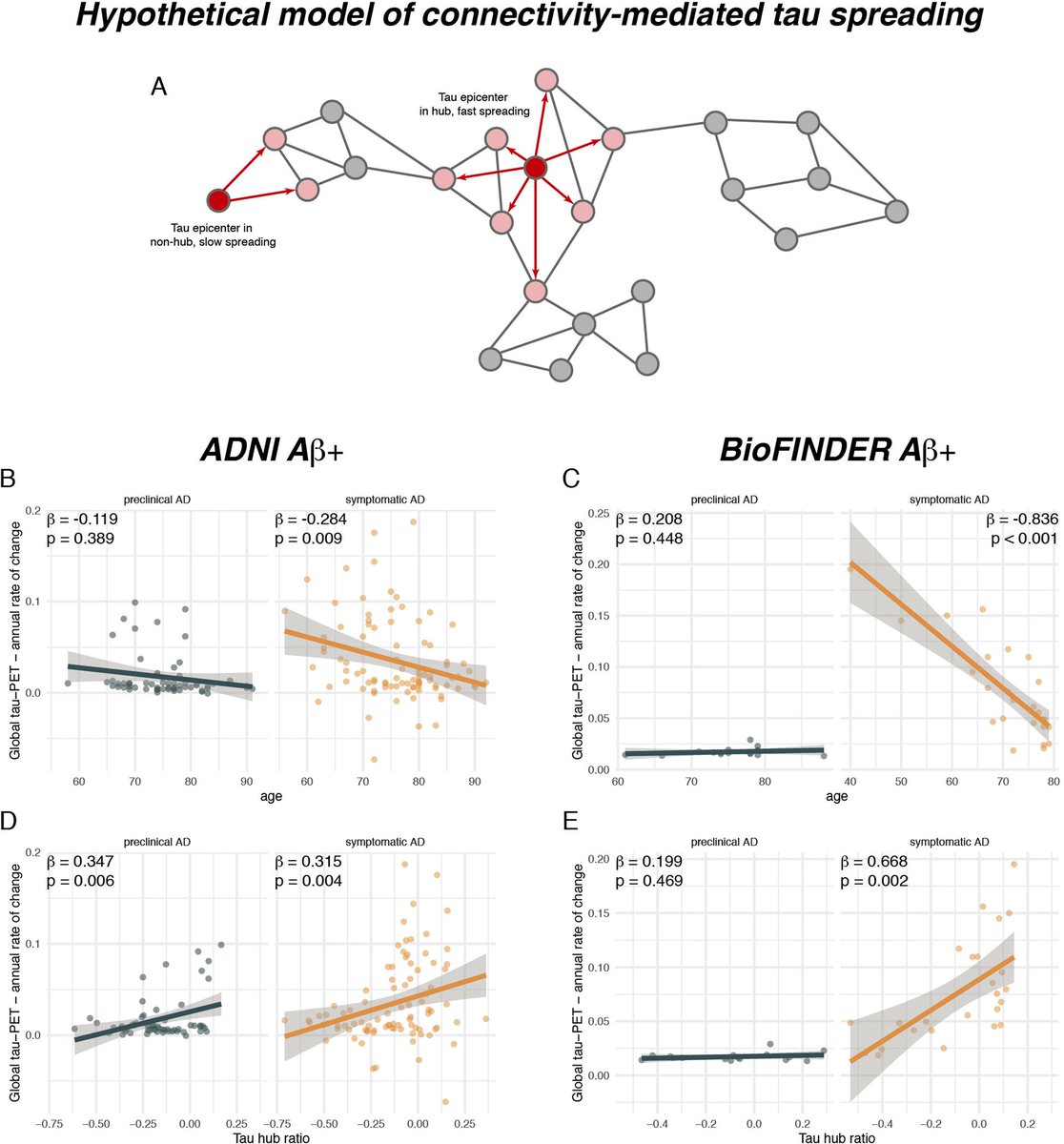 Nico Franzmeier (@nfranzme) on Twitter photo Very happy to share our new <a href="/NatureComms/">Nature Communications</a> paper, showing that earlier #Alzheimer's onset is associated with stronger tau in globally connected hubs, and that tau in hubs leads to faster connectivity-mediated tau spreading and cognitive decline doi.org/10.1038/s41467… 1/5 Very happy to share our new <a href="/NatureComms/">Nature Communications</a> paper, showing that earlier #Alzheimer's onset is associated with stronger tau in globally connected hubs, and that tau in hubs leads to faster connectivity-mediated tau spreading and cognitive decline doi.org/10.1038/s41467… 1/5