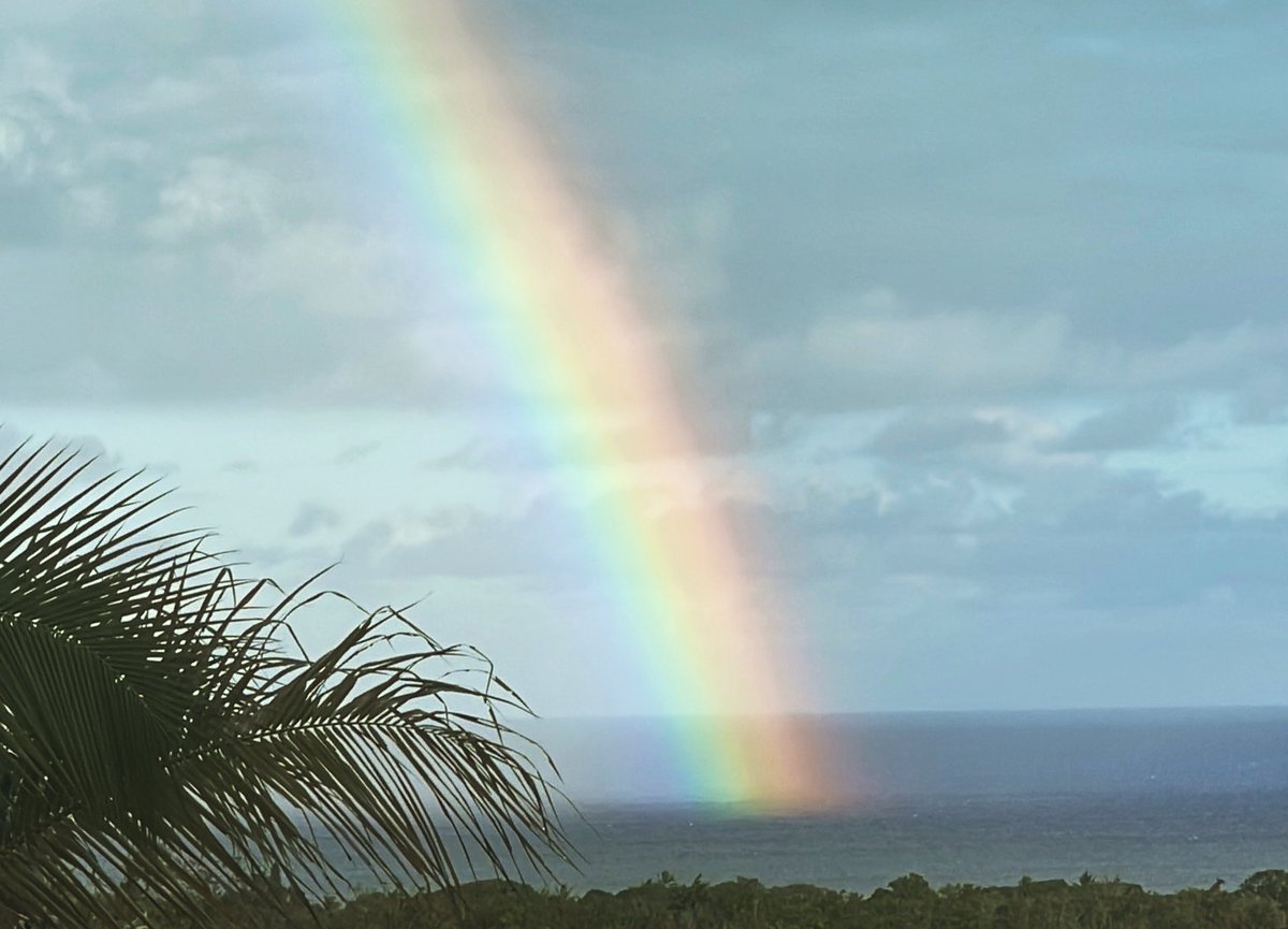 Lavas_End's tweet photo. Ride the #rainbow 🤙 https://t.co/se3kwqhp6i