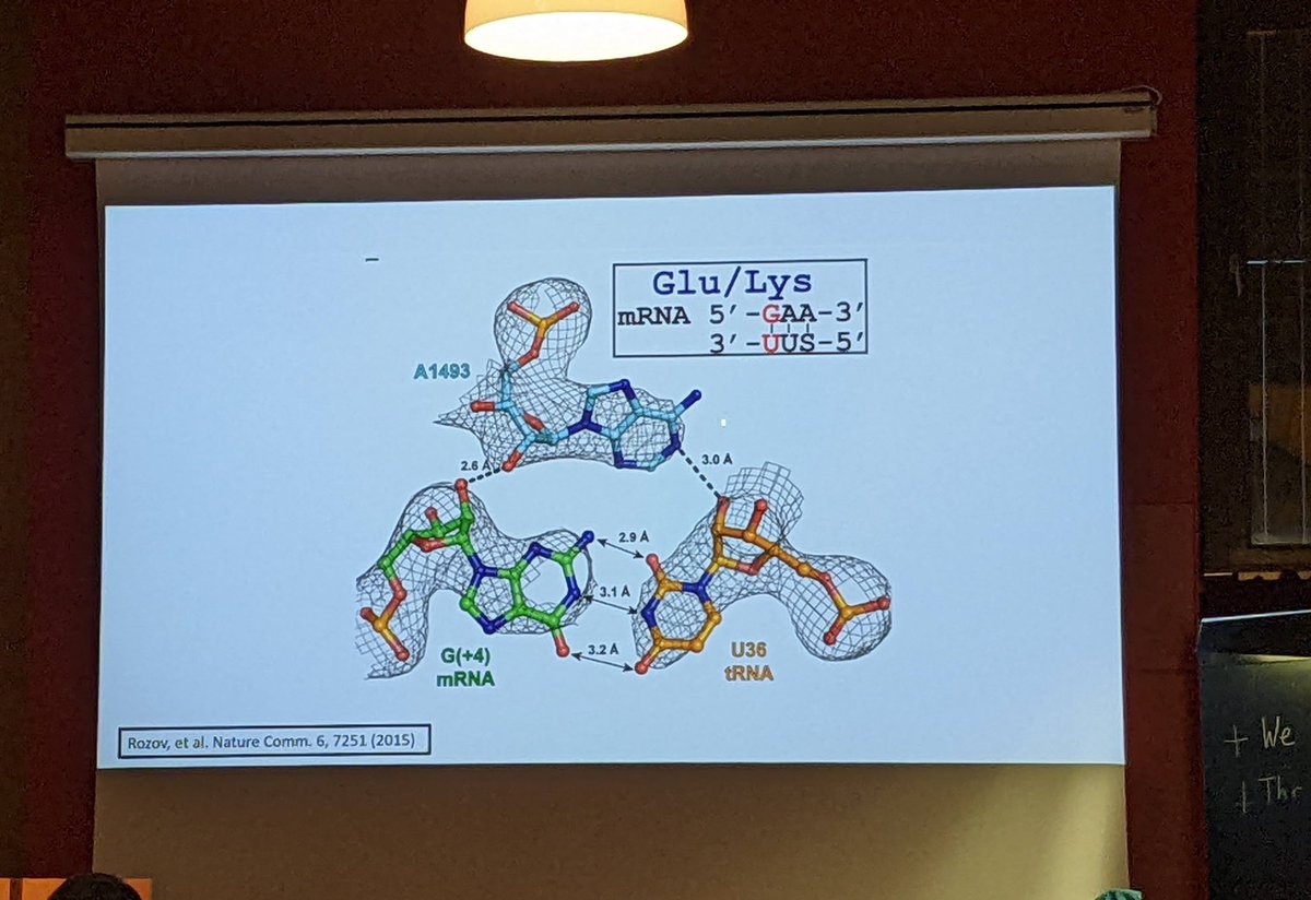 mtwolfinger's tweet photo. Goodbye #RNAbenasque 2022. It was a pleasure meeting you and the wonderful #RNA #bioinformatics crowd. See you again 21 Jul - 3 Aug 2024! #loveRNA #mRNA #science #benasque #spain #pyrenees https://t.co/tpo0fYZx6Z