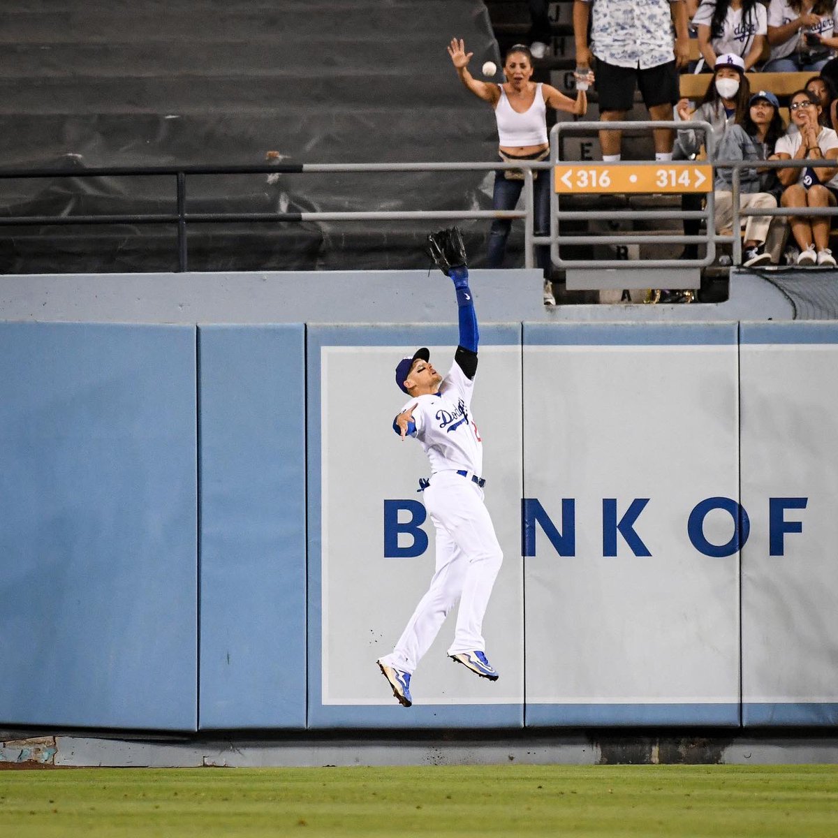 Evan Phillips tweet media