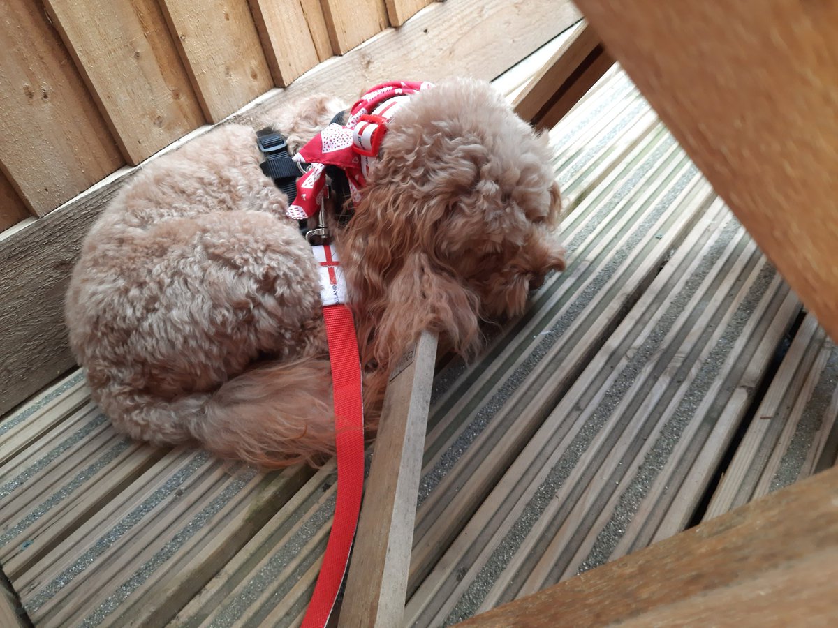 Out and about in #Nottingham with a few naps along the way 🤣🤣