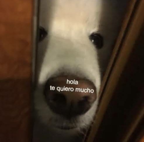 Clo 🐟💙 tweet media