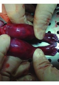 Rick In Novi 〽️I tweet media