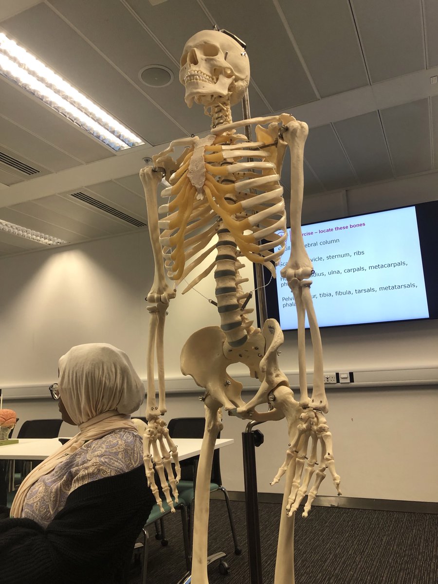 ArkBDA's tweet photo. Well done to our group of Year 11 students who have been taking part in the @imperialcollege Medical Summer School this week; looking forward to hearing about it in more detail when we see you next week, and to celebrating your medical school places in 2024! https://t.co/uGfi92wkPo