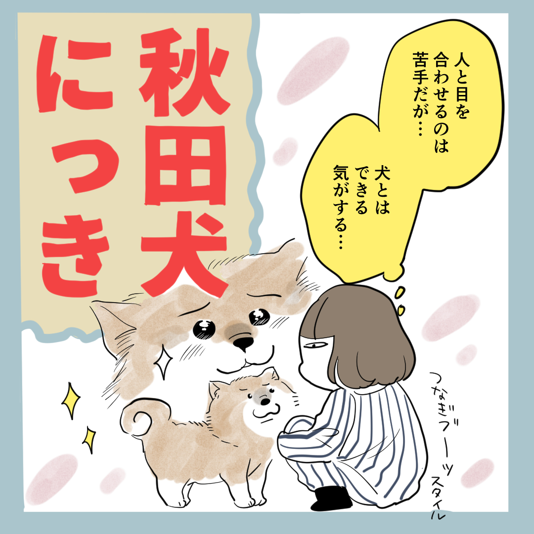 ～秋田犬にっき～ こんなにかわいい顔をしているが壁を早速破壊しているのである～ 