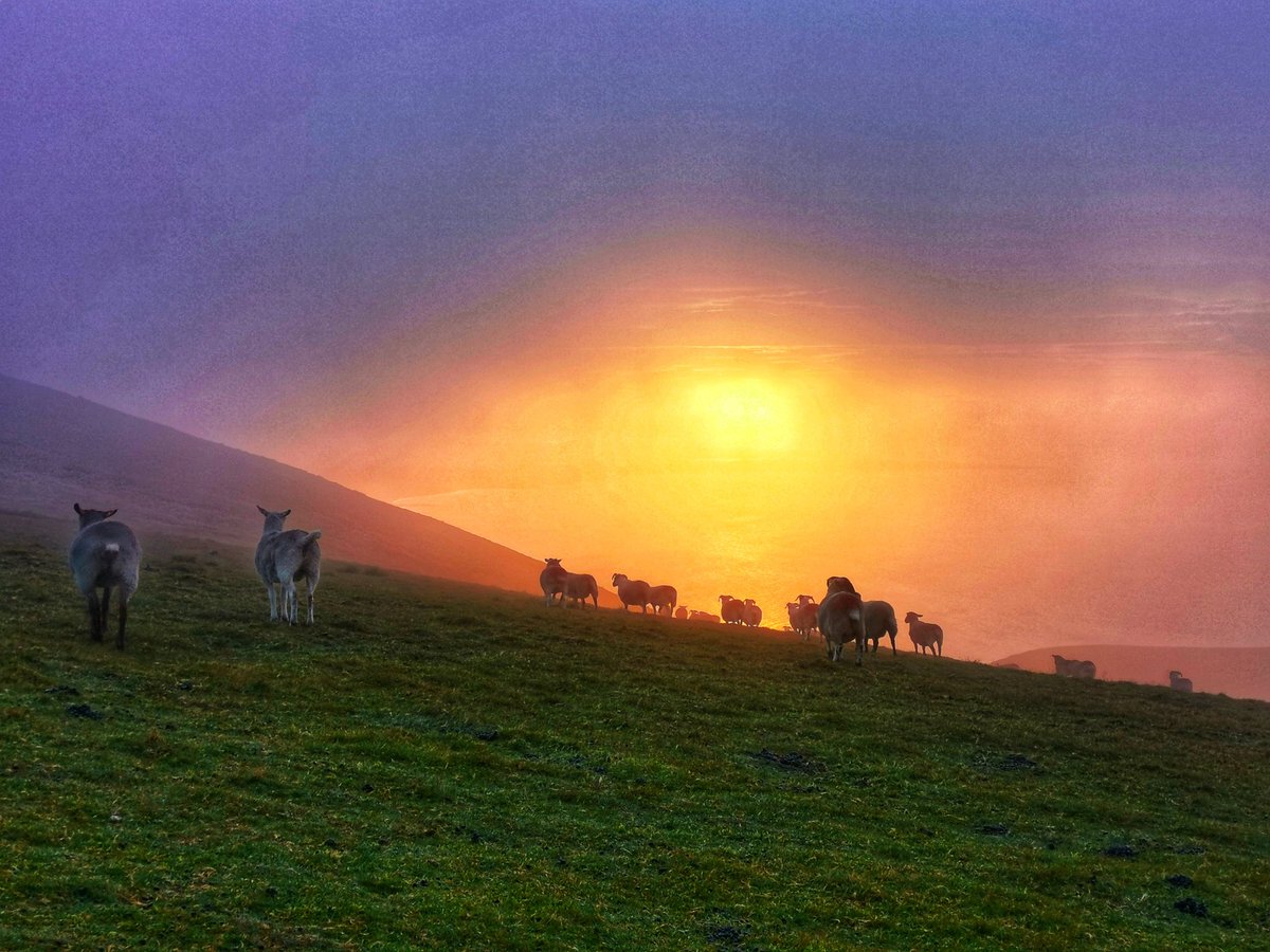 A cloudy sunrise on slieve commedagh
@wearetrekni @visitmourne @Mournelive @EnjoyTheMournes @NTMournes #trekking #hikingireland