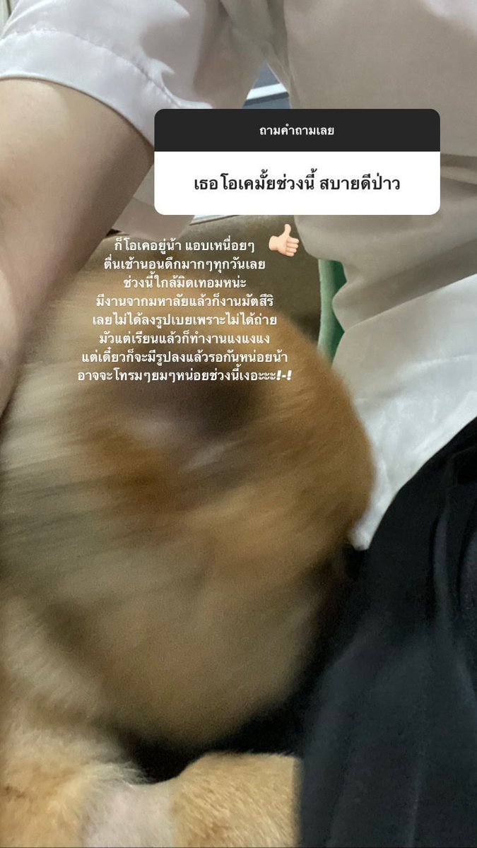 PeakInterfans's tweet photo. | Peak's Instagram story post! |
 Fighting kubbbb

#PeakBNK48 #BNK48 https://t.co/SfuiI6utHo