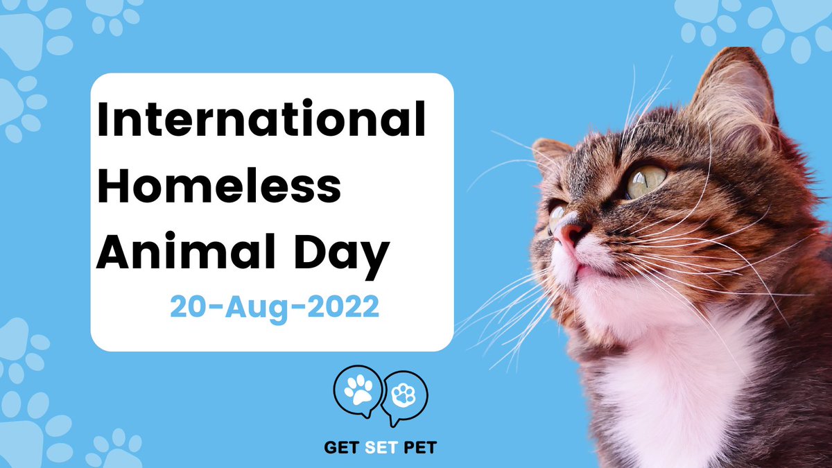 Getsetpet's tweet photo. Did you know...💡
There are an estimated 100,000 homeless dogs and countless homeless cats in the UK 🐱🐶(Source: PETA)

At GetSetPet we support local charities like Diana Brimblecome Animal Rescue Centre because we care more🐾

#cats #dogs #pets #petcare #petcharity #petstagram https://t.co/Mk2ifvvKyZ