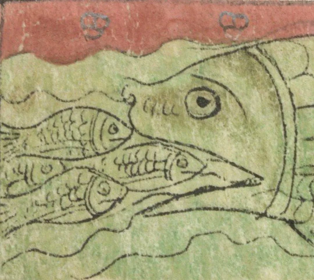 OEWordhord's tweet photo. #OldEnglish #WOTD: for-cwolstan, wk.v: to swallow down. (for-KWOLL-stahn / fɔr-ˈkwɔl-stan) Image: Bestiary; England, 13th century; @BLMedieval Sloane 3544, f. 42v. https://t.co/JYbm3IgIHE