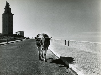 Collega @Bram_Oostveen v ons project Volledige werken van WFH, en grafisch ontwerper @pietschreuders kozen uit het foto-archief van Hermans (15k+ foto's) tientallen exemplaren voor de tentoonstelling Vrij belangrijke foto's van <a href="/Fotomuseum/">Fotomuseum Den Haag</a>. Nu te zien! Foto © erven W.F. Hermans