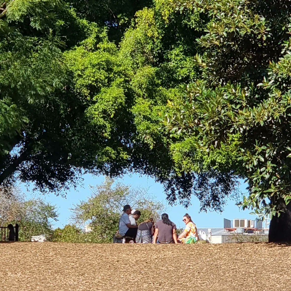 JanB_QLD's tweet photo. A Saturday walk in the sunshine along the river. Last Saturday was rain.
#QLDWalksMonth #queenslandwalksmonth #shadytrees #meanjin #westendwalks4101 #WestEnd4101 https://t.co/XxYup8WnRl