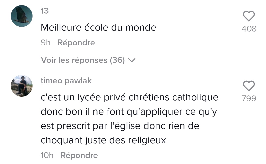 Sa Majesté Des Mouches🪰👑 tweet media