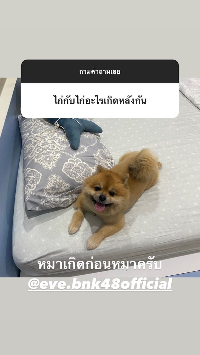 PeakInterfans's tweet photo. | Peak's Instagram story post! |

Q: Chicken and Chicken who's born last?

A: Dog was born before dog

#PeakBNK48 #BNK48 https://t.co/tLmvJ1MObJ