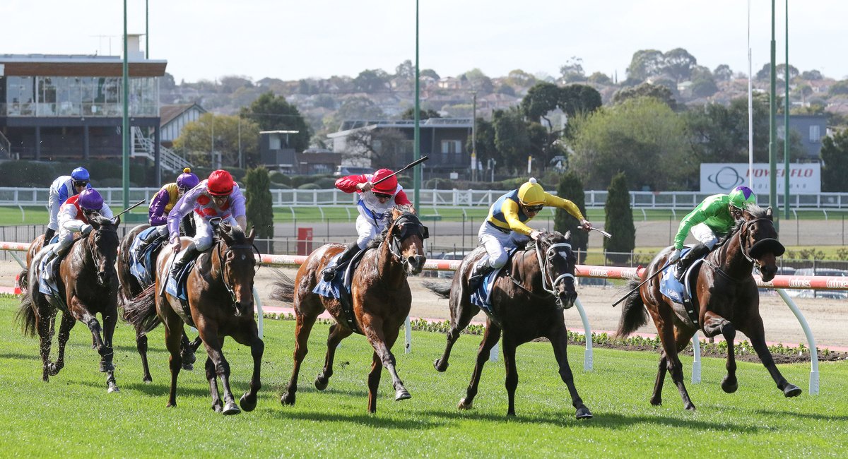 nzracingnews's tweet photo. Three-year-old Almanzor colt #VirtuousCircle narrowly prevailed in the Hugh Wallace-Smith Handicap (1500m) at The Valley on Saturday, to make the perfect start to his classic season. @CambridgeStud @LeighHawkins00 

https://t.co/1tJdKUUSIm https://t.co/vMvCPEFtGL
