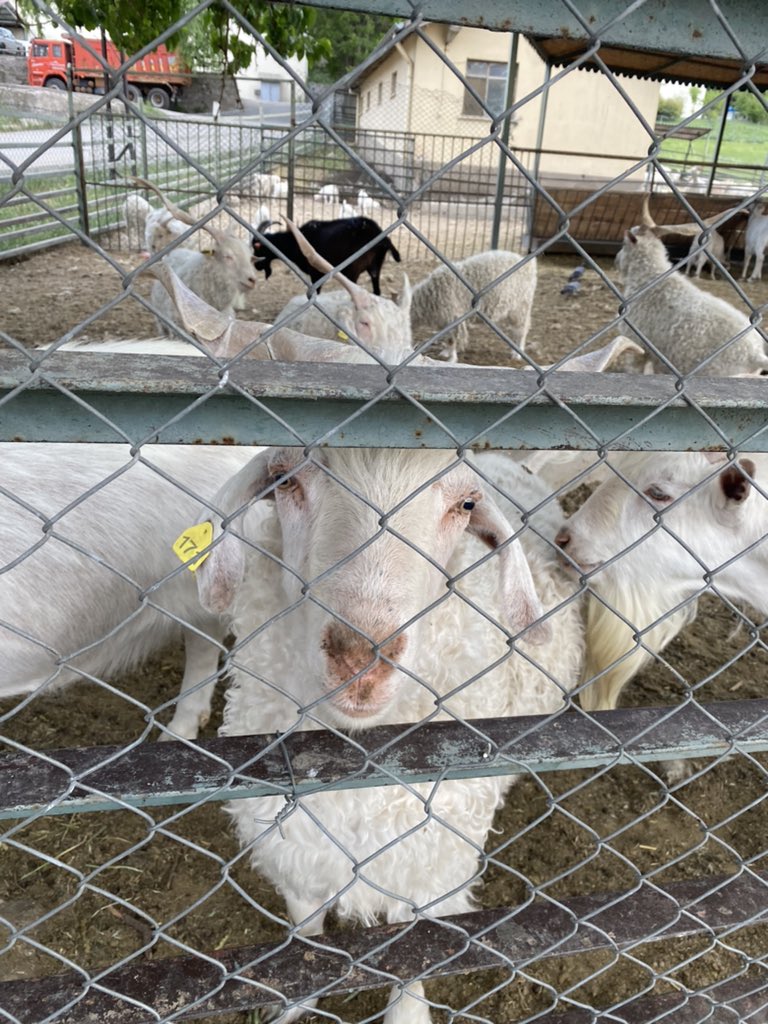 Milletin kampüsüne laf attıktan sonra kampüsümle tanışıyorum