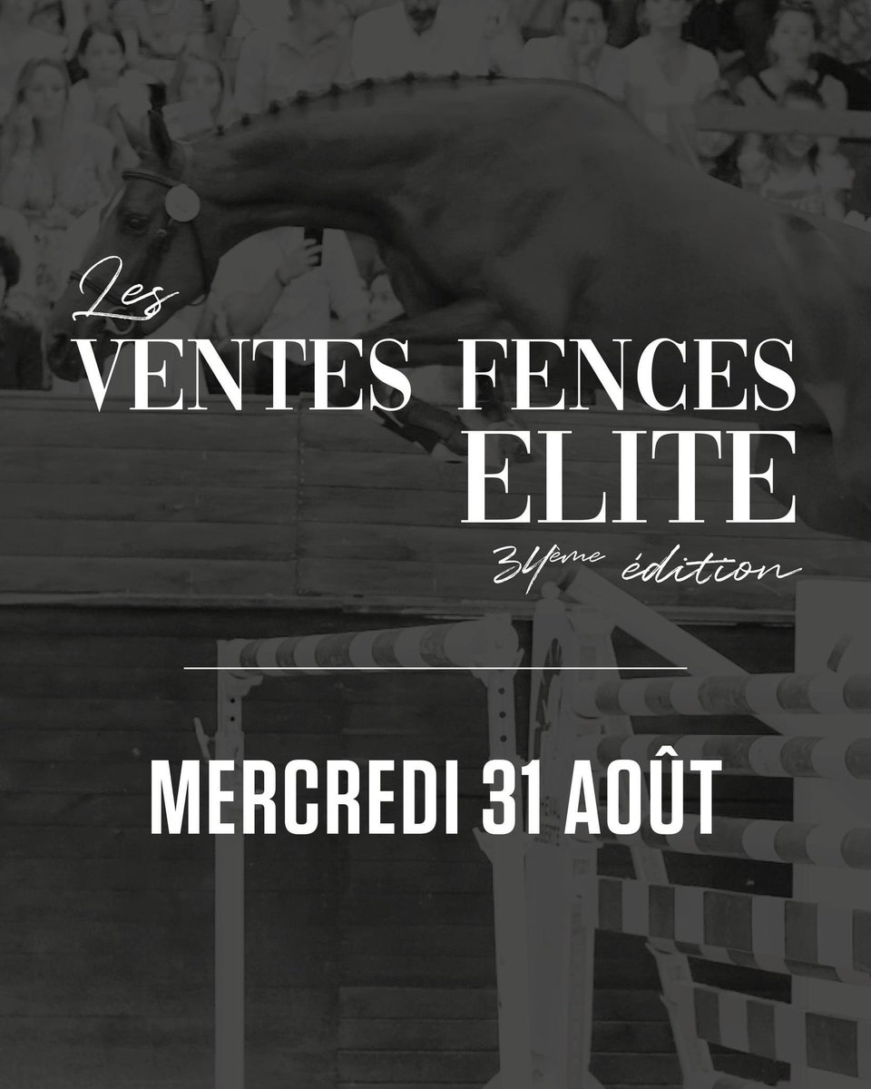 Cheval Sport Élite tweet media