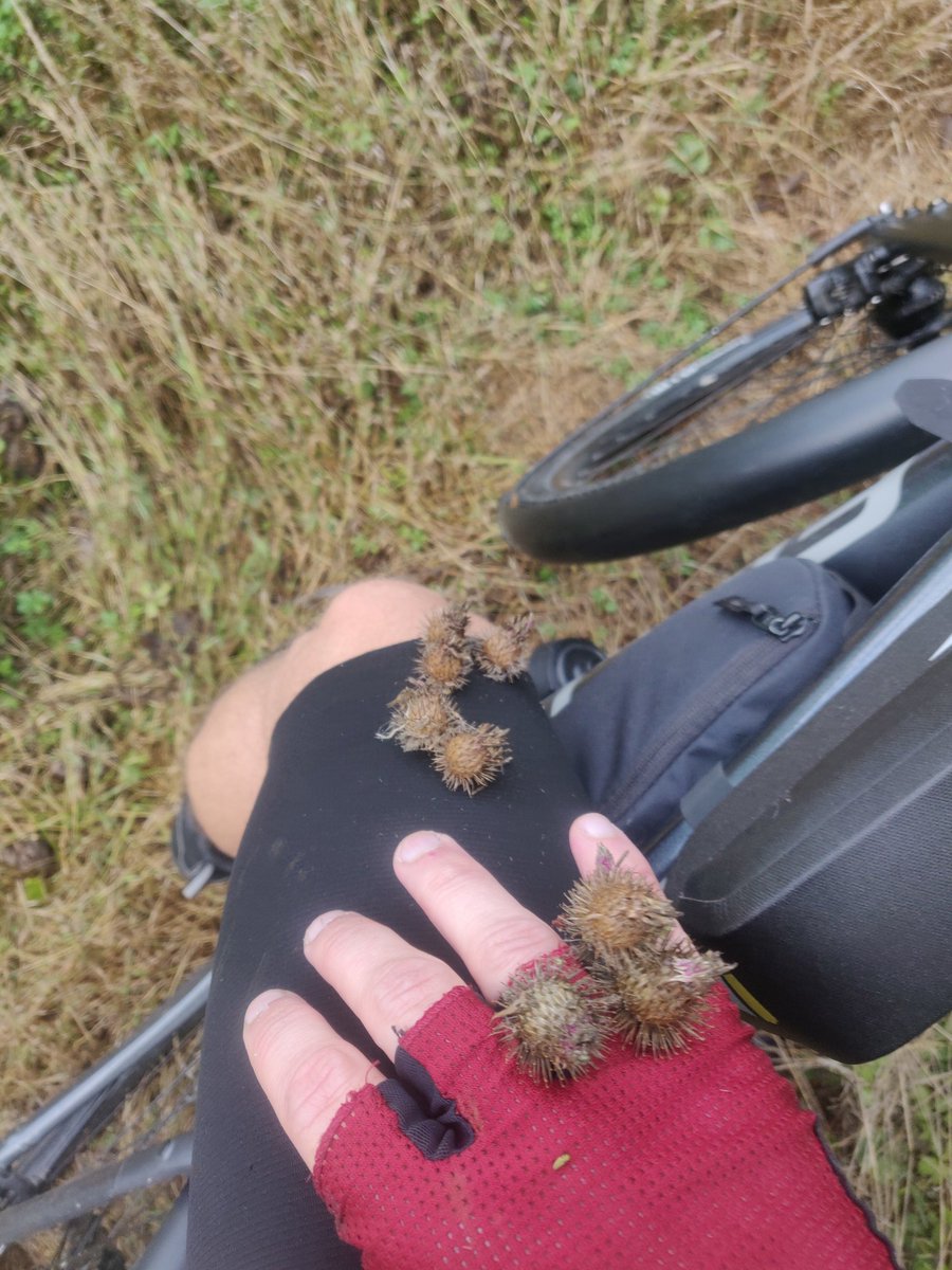 GeoffreyBrunois's tweet photo. La nature a un peu repris ses droits sur ce sentier 😂
(Je suis en sortie loisir, venez pas me dire que je veux des autoroutes 🤡) https://t.co/tCLYVUk23B